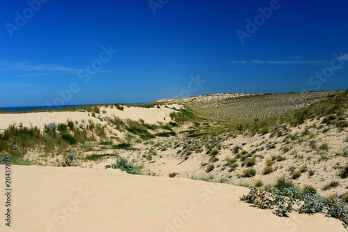 dune and sky