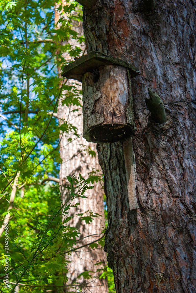 Wooden birdhouse in a tree in the forest. Wooden birdhouse in a tree in the forest.