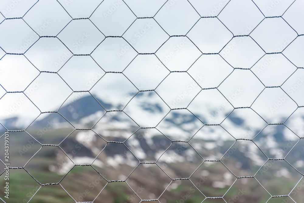 Fototapeta premium Wire mesh fence