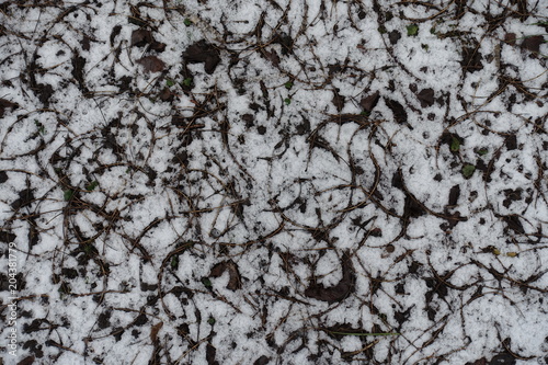 View of ground covered with snow and fallen leaves from above © Anna
