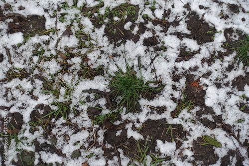 Wallpaper Mural View of grass covered with fallen leaves and snow from above Torontodigital.ca