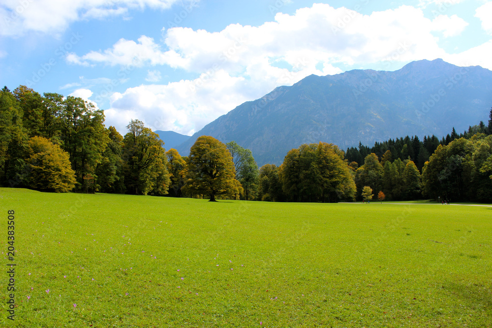 Obraz premium green meadow