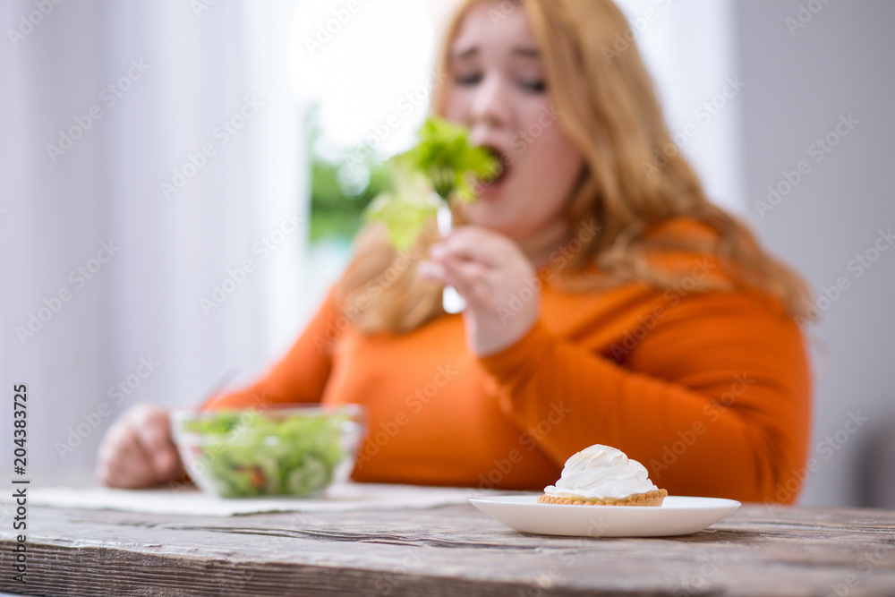 My dessert. Desolate stout woman looking at dessert and having healthy breakfast My dessert. Desolate stout woman looking at dessert and having healthy breakfast