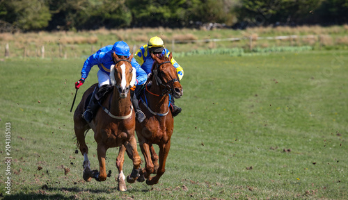 two galloping race horses competing in a racing competition  © Gabriel Cassan