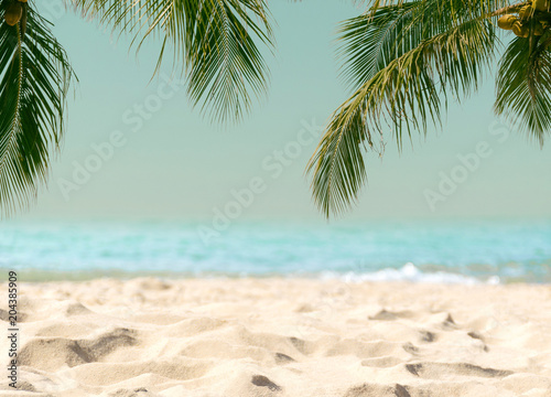 Palm trees coconut beach sea sky in the summer of the holiday vintage toned