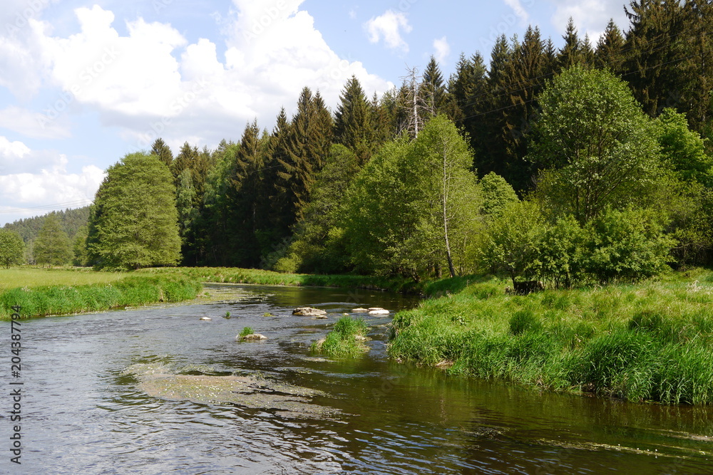 Obraz premium Die Pfreimd ist ein wilder Fluss im Oberpfälzer Wald.