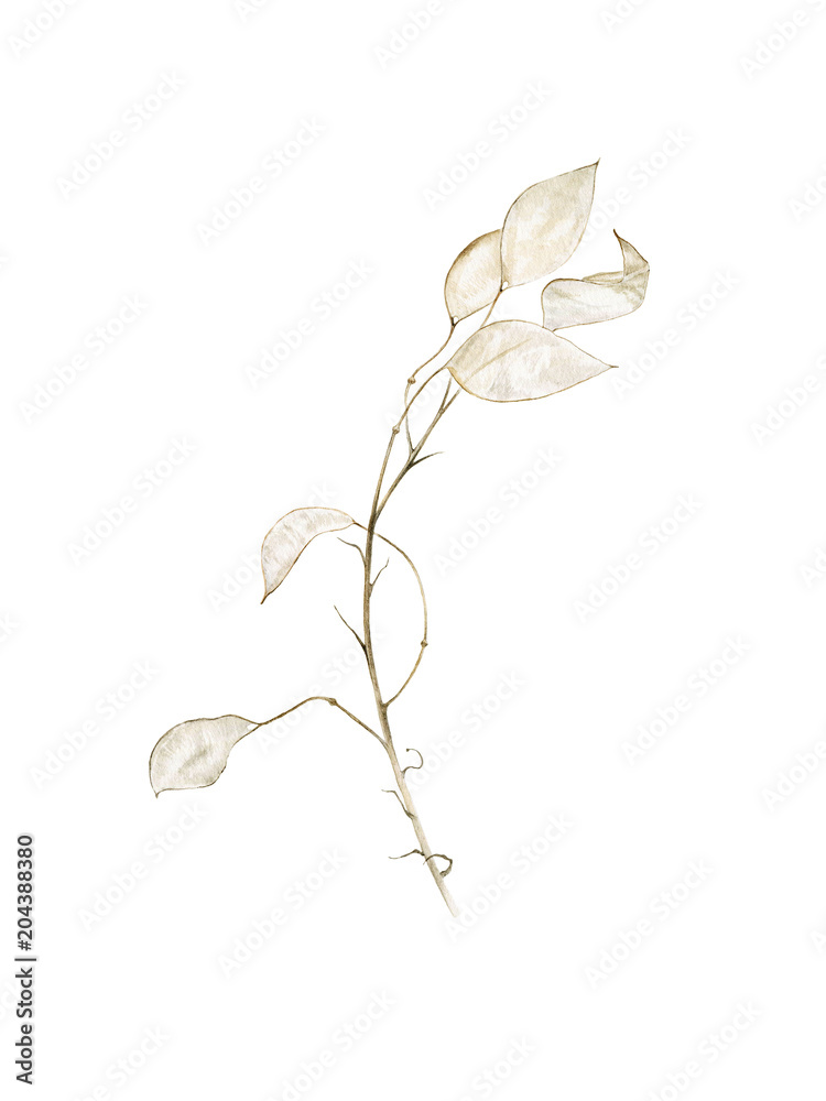 Watercolor hand painted lunaria branches set. Can be used as print, poster, postcard, textile, invitation, greeting card, packaging design and so on.