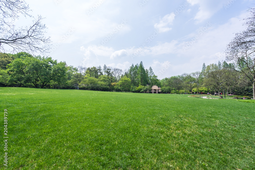green lawn with modern office building green lawn with modern office building