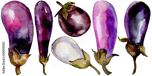 Eggplant healthy food in a watercolor style isolated. Full name of the vegetables: eggplant. Aquarelle wild vegetables for background, texture, wrapper pattern or menu.