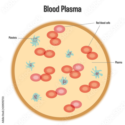 Plasma isolated on white background as science and health care concept