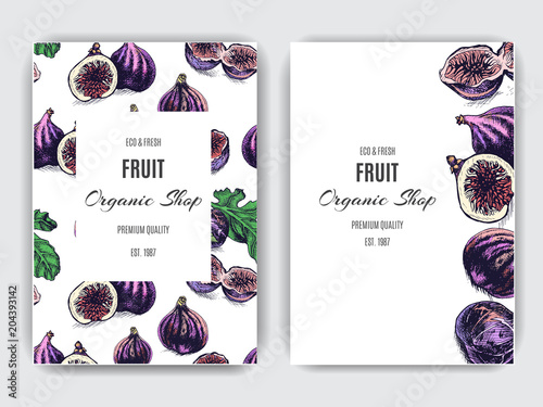 Fruit banner for eco store with Fig and strawberry.