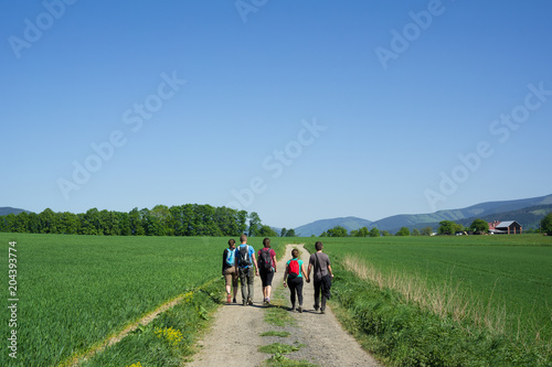 Group of tourist, hikers and backpackers are walking on the pathway. Beautiful nature around them. Outdoor activity and walking in the countryside. Clear blue sky as copy space.