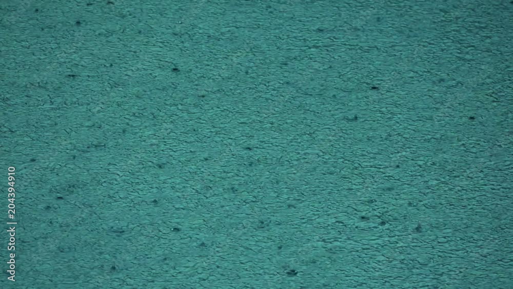 Raining.
Raindrops falling in swimming pool ripple emerald water ,high angle view hd format slow motion.
