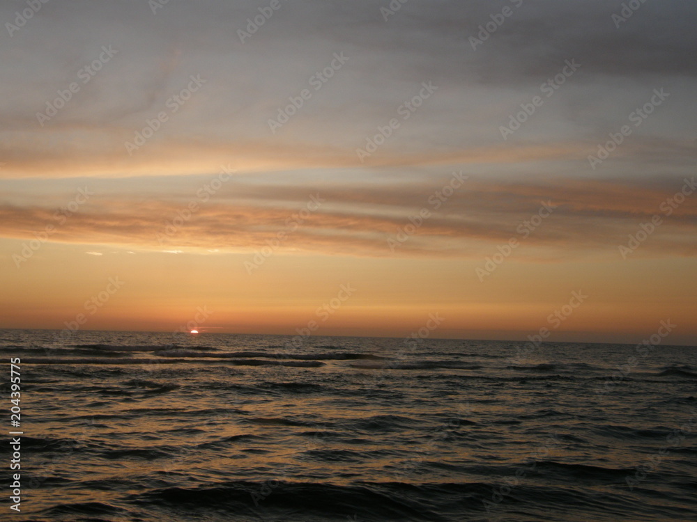 Obraz premium OLYMPUS DIGITAL CAMERA