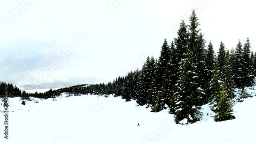 Winterlandschaft Schneelandschaft Wald Schnee schneien Winter