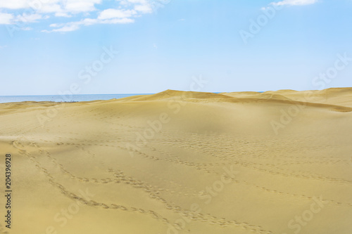 Desert of sand.