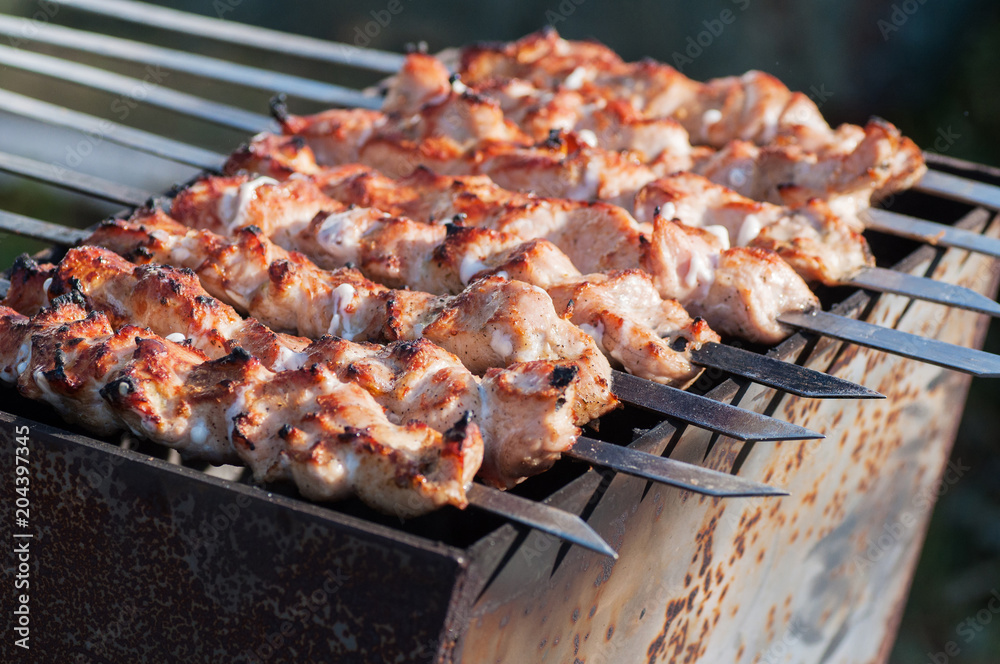 Shish kebab roasting on the grill. Cooking meat on the fire.