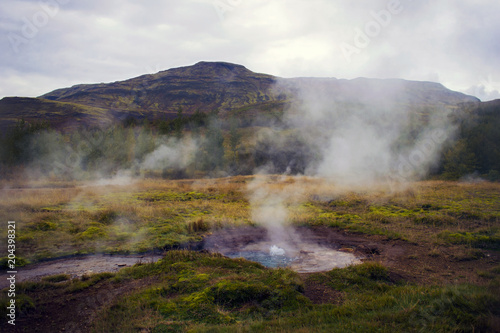 The geothermal field in Haukadalur Iceland. Small boiling and steaming geyser, field and hill in the background.  One of the most famous tourist attractions in The Golden Circle.