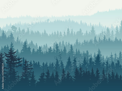 Horizontal illustration of blue coniferous forest.