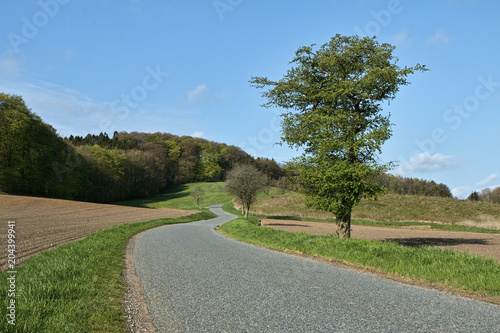 Small Country Road