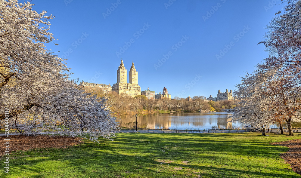 Central Park, New York City spring