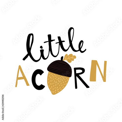 little acorn