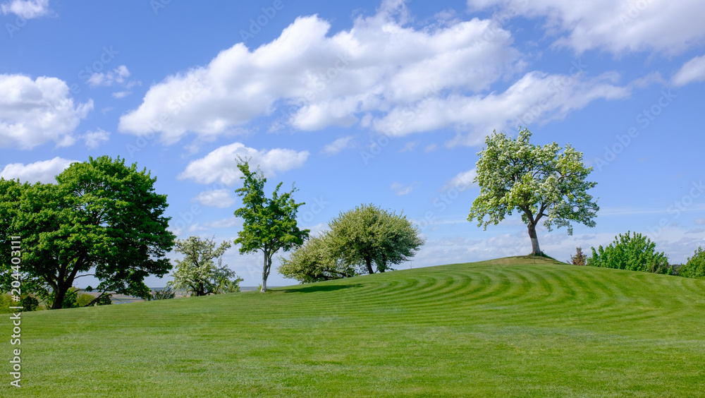 idyllic spring landscape, Fields and trees idyllic spring landscape, Fields and trees