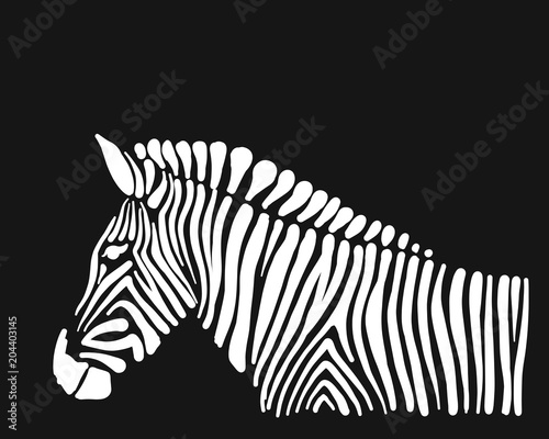 Zebra, sketch for your design