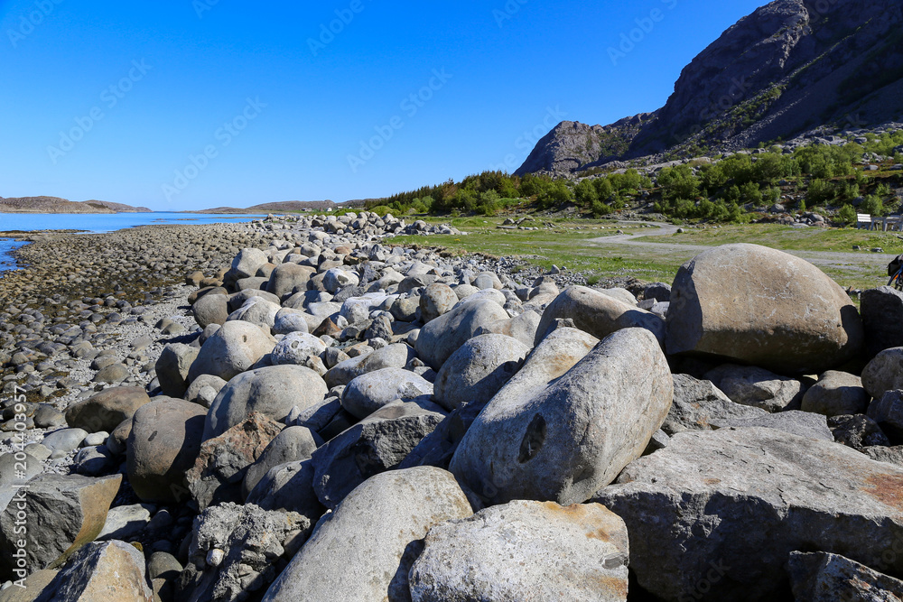 Obraz premium Countryside an summer day at Vega island in Northern Norway