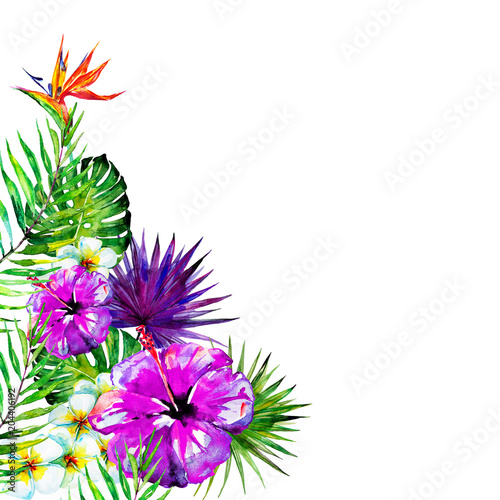 beautiful violet flowers ,palm leaves, watercolor on a violet © aboard