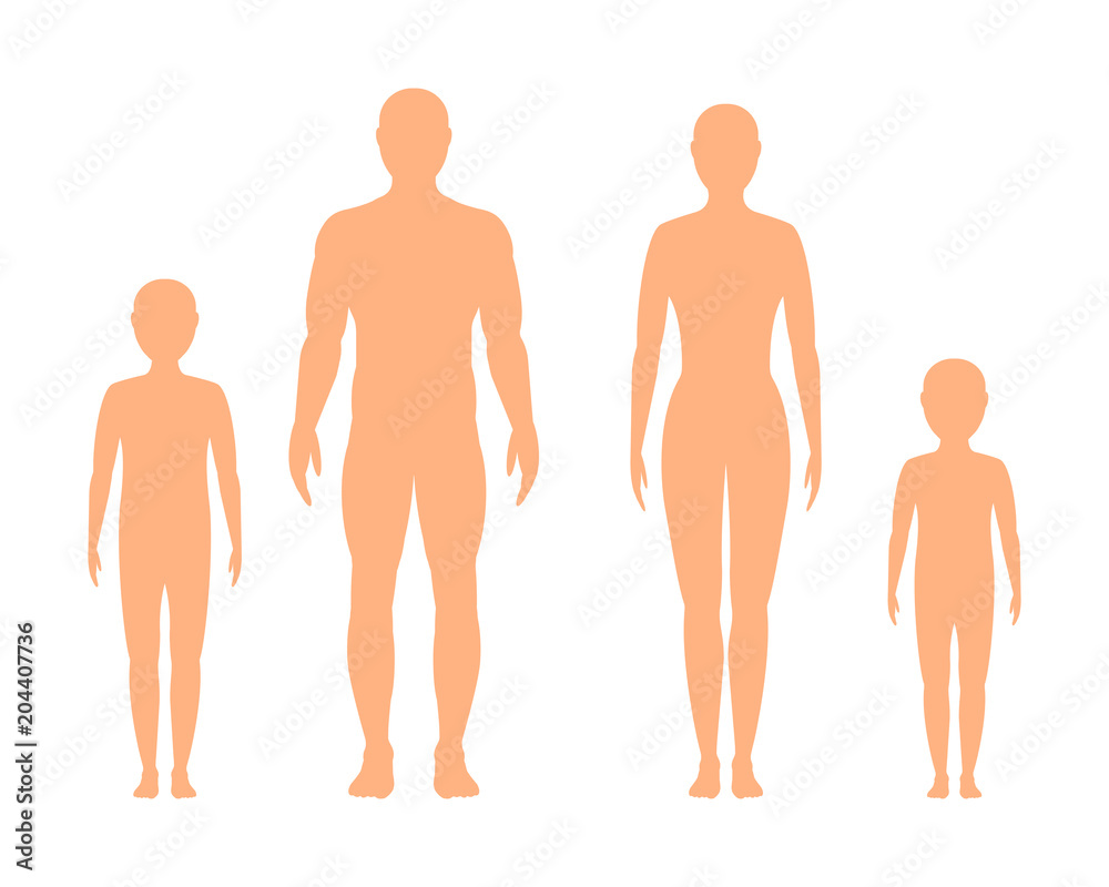 Male, female and children's  silhouette on white background, vector. - obrazy, fototapety, plakaty 