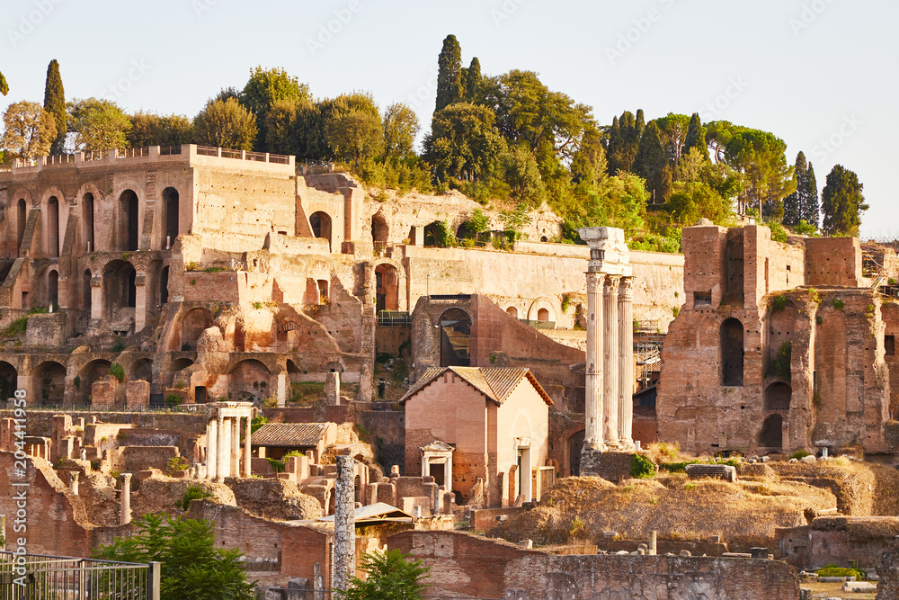 View of ancient stone Roman forum with columns and ruins of buildings among green trees, Italy.