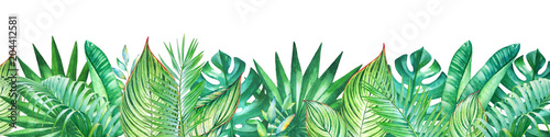Background with watercolor tropical plants. Useful for design of banners, car...