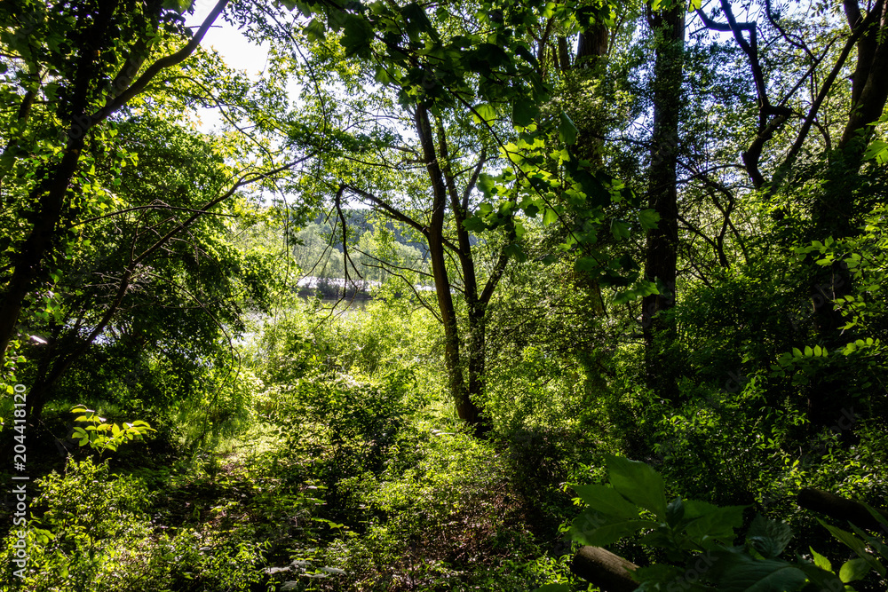 Fototapeta premium Trip to Trebur - Germany Hessen 