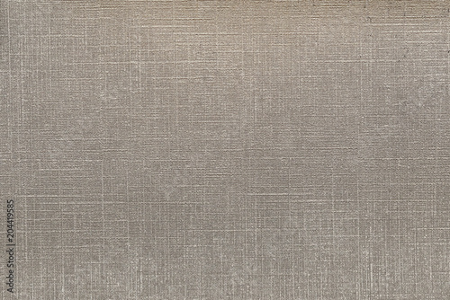 Vinyl wallpaper for background and texture