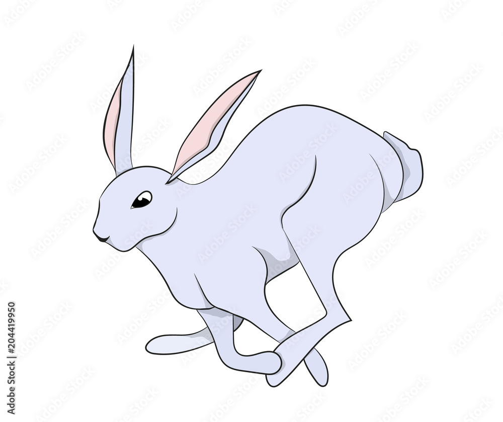 Fototapeta premium white hare vector, white background