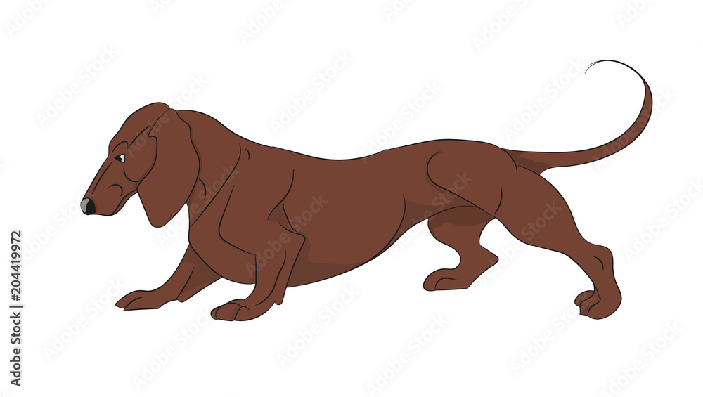 cartoon dachshund cartoon dachshund