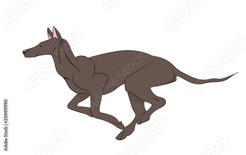 dog running  color  vector
