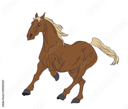 horse running  color  vector