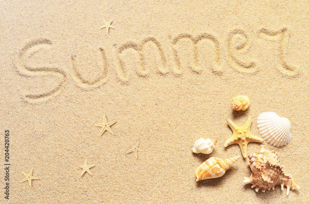 Seashells and starfish on the sand background. Summer beach. Seashells and starfish on the sand background. Summer beach.