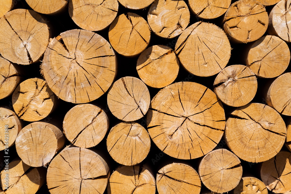 Fototapeta premium Pile of worked wooden roundish clear beautiful logs, stacked firewood background, view at saw cut, sunny day