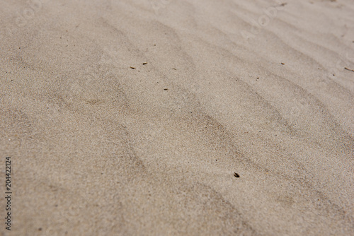 sand texture