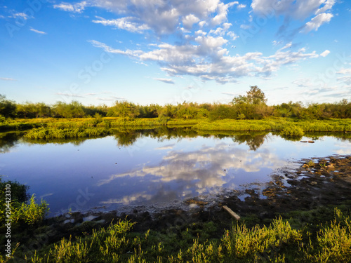 A view of the pampa biome, clouds reflecting on small pond - Uruguaiana, Brazil