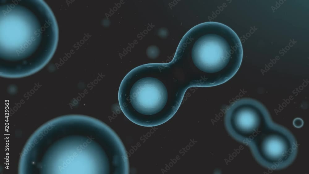 Cell division mitosis or meiosis on black background.