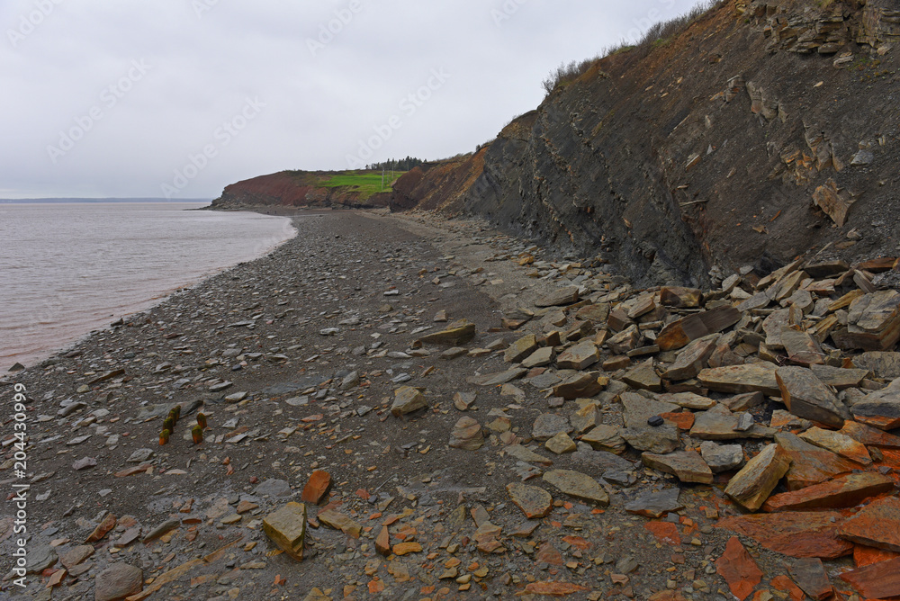 Joggins Fossil Cliffs is a UNESCO Natural World Heritage Site since