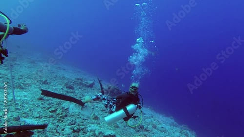 Wallpaper Mural Group of scuba divers look and photographing a Tiger Shark - Galeocerdo cuvier, Indian Ocean, Fuvahmulah island, Maldives
 Torontodigital.ca