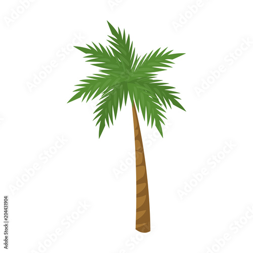 Palm tree isolated vector illustration graphic design