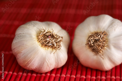 garlic on a red style background, macro
