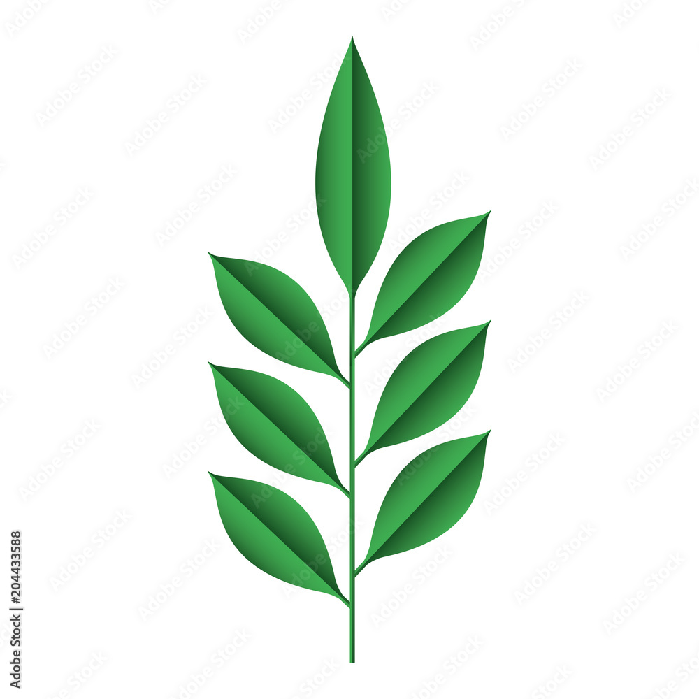 branch with leafs decorative icon vector illustration design