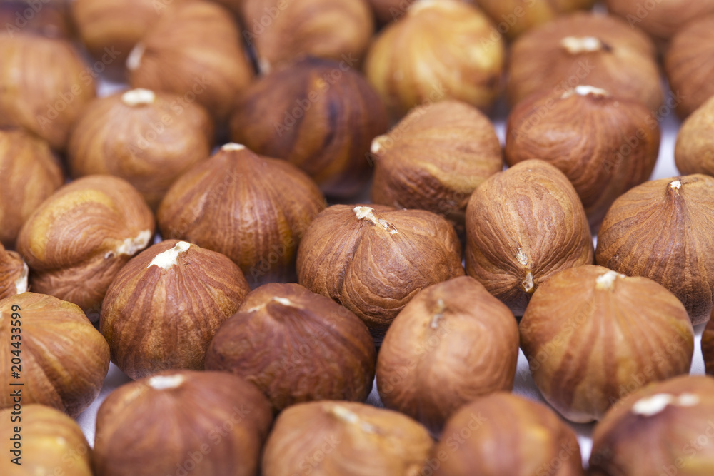 Hazelnut pile closeup. Hazelnut photo background. Organic food rustic banner template. Hazelnut pile closeup. Hazelnut photo background. Organic food rustic banner template.